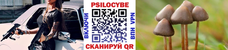 кракен ТОР купить цена Шиханы Галлюциногенные грибы GOLDEN TEACHER